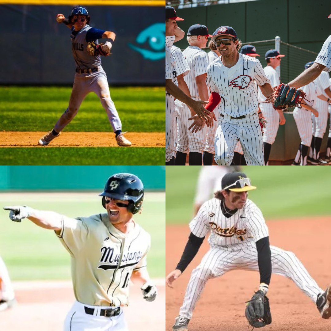 The four Borgo brothers playing college baseball